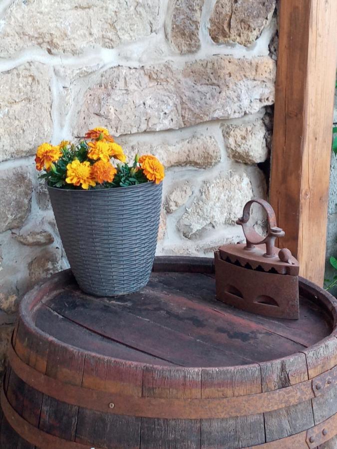 Tokaj Hill Panorama Guesthouse Серенч Экстерьер фото