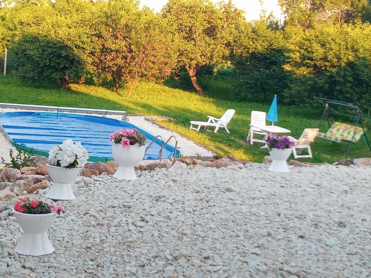 Tokaj Hill Panorama Guesthouse Серенч Экстерьер фото