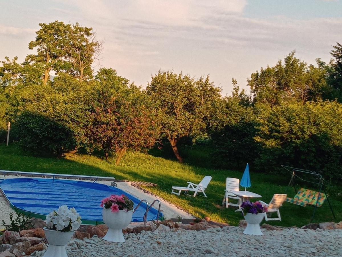 Tokaj Hill Panorama Guesthouse Серенч Экстерьер фото