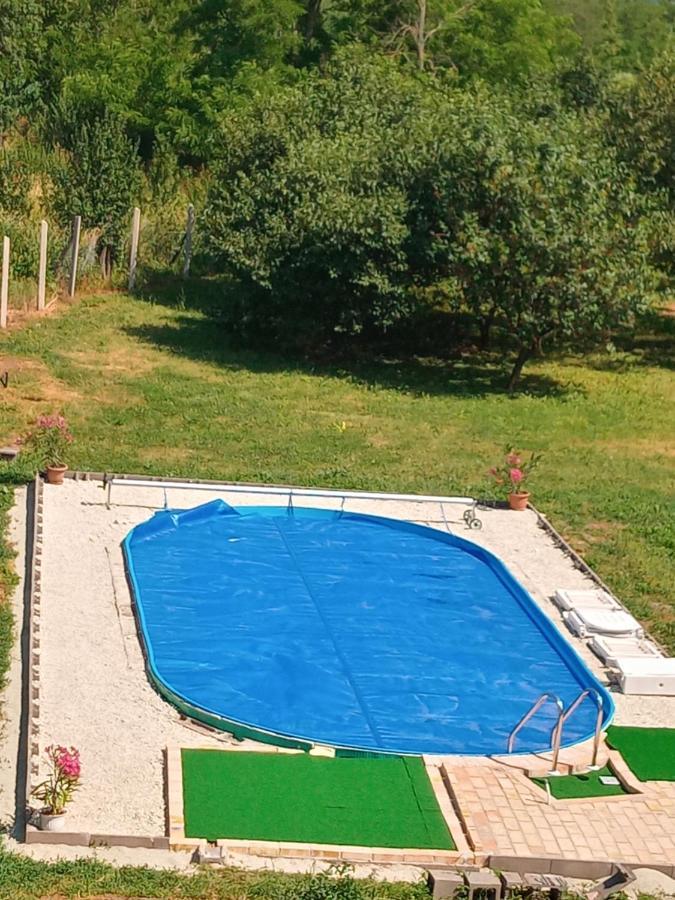 Tokaj Hill Panorama Guesthouse Серенч Экстерьер фото