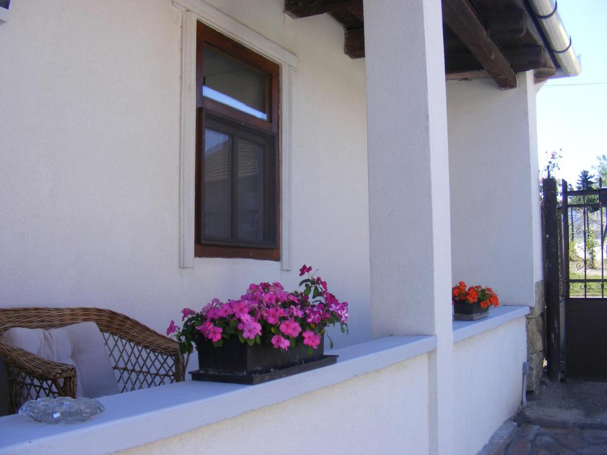 Tokaj Hill Panorama Guesthouse Серенч Экстерьер фото
