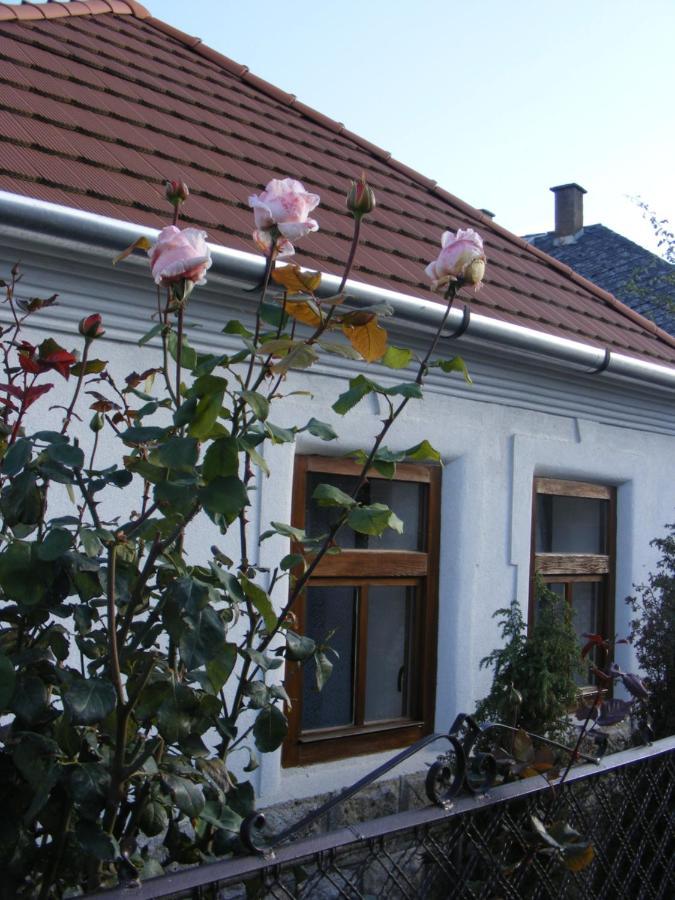Tokaj Hill Panorama Guesthouse Серенч Экстерьер фото
