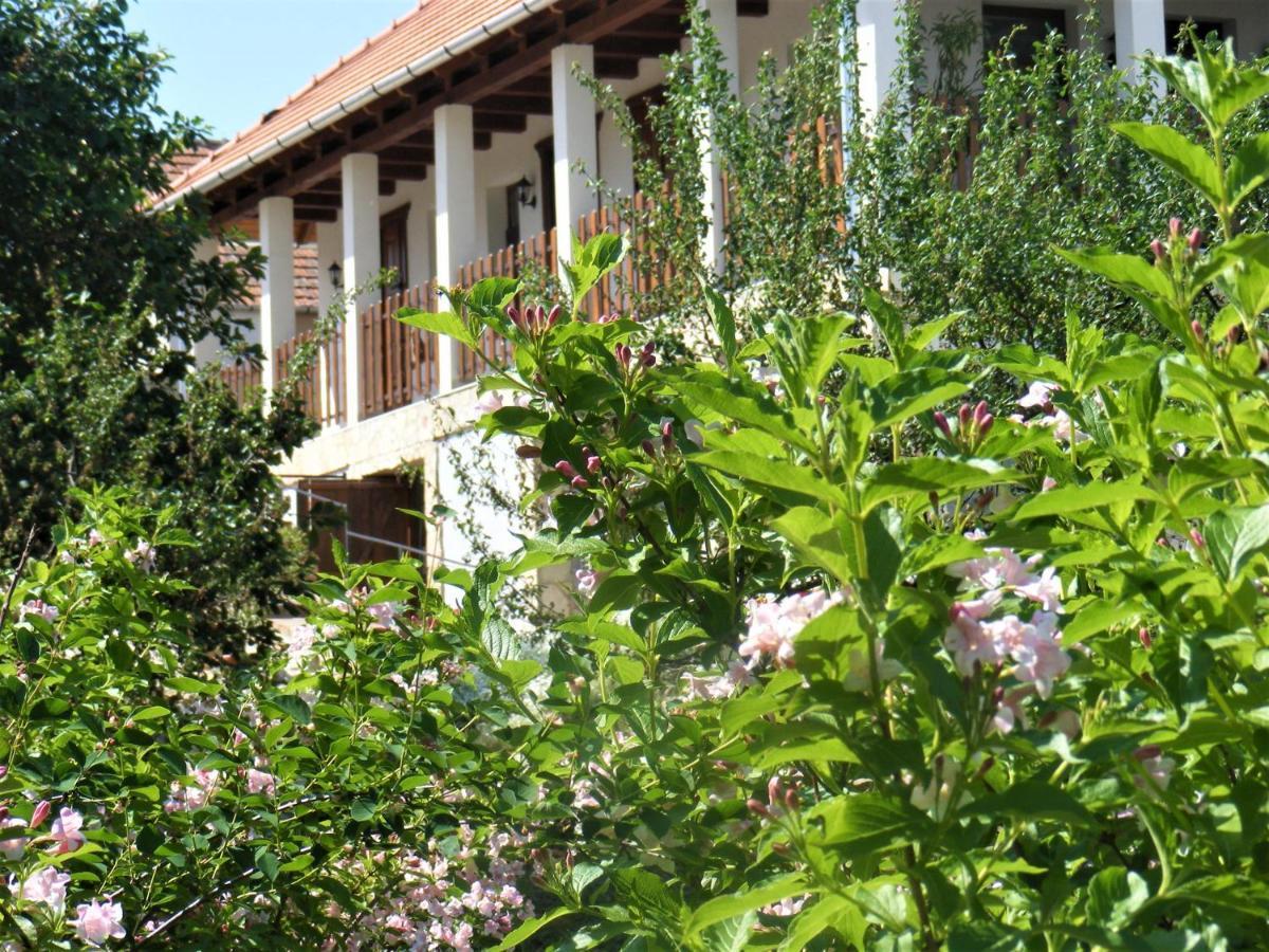 Tokaj Hill Panorama Guesthouse Серенч Экстерьер фото