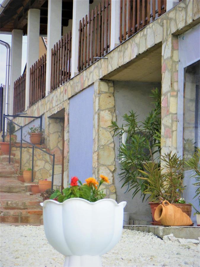 Tokaj Hill Panorama Guesthouse Серенч Экстерьер фото