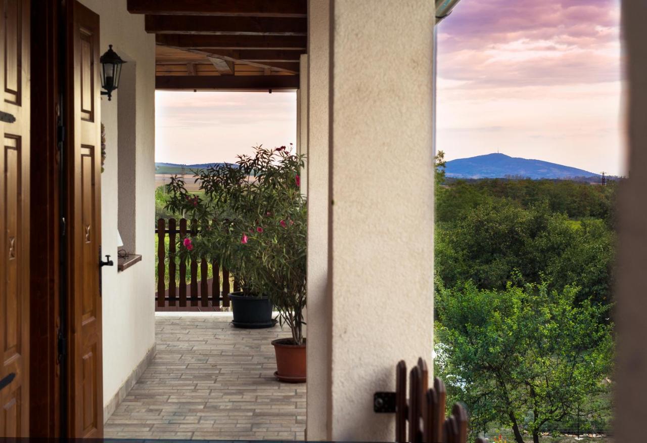 Tokaj Hill Panorama Guesthouse Серенч Экстерьер фото