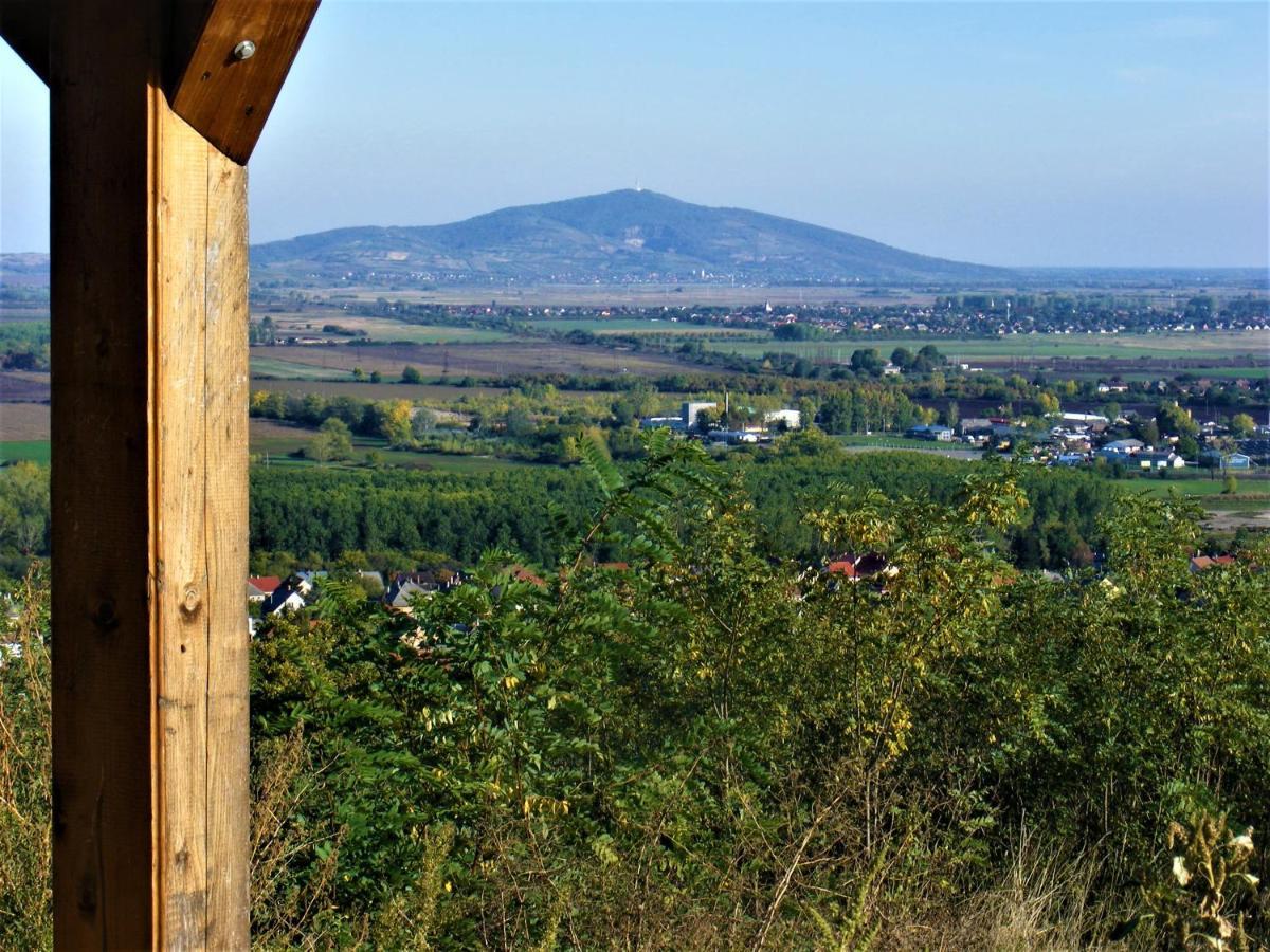 Tokaj Hill Panorama Guesthouse Серенч Экстерьер фото