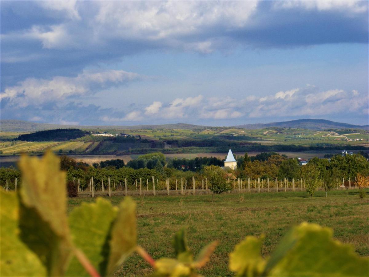 Tokaj Hill Panorama Guesthouse Серенч Экстерьер фото