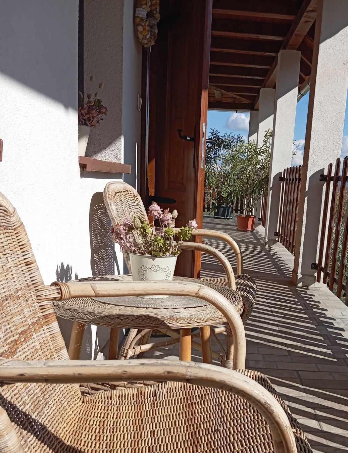 Tokaj Hill Panorama Guesthouse Серенч Экстерьер фото