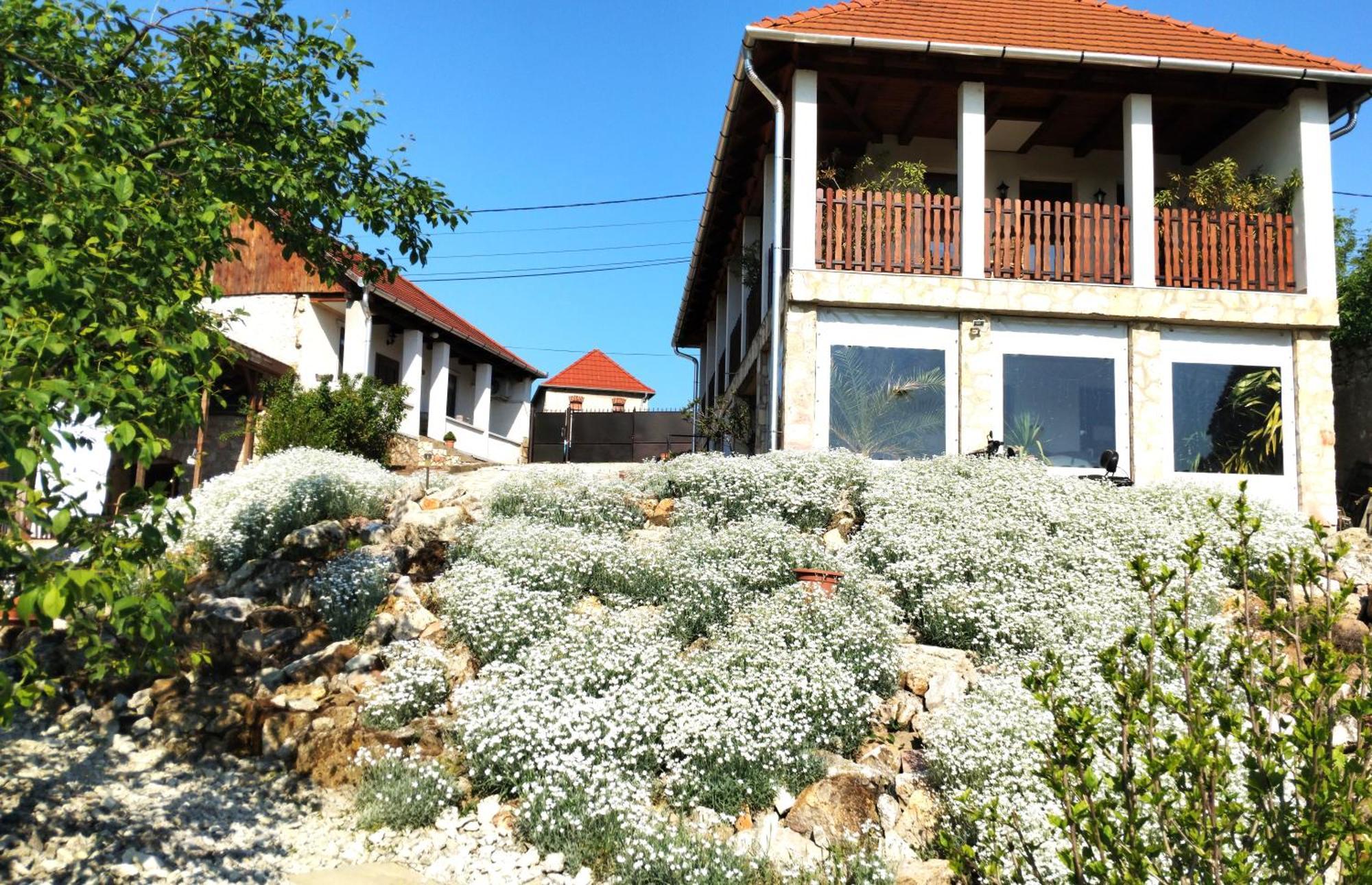 Tokaj Hill Panorama Guesthouse Серенч Экстерьер фото